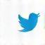 Twitter icon linking to company profile